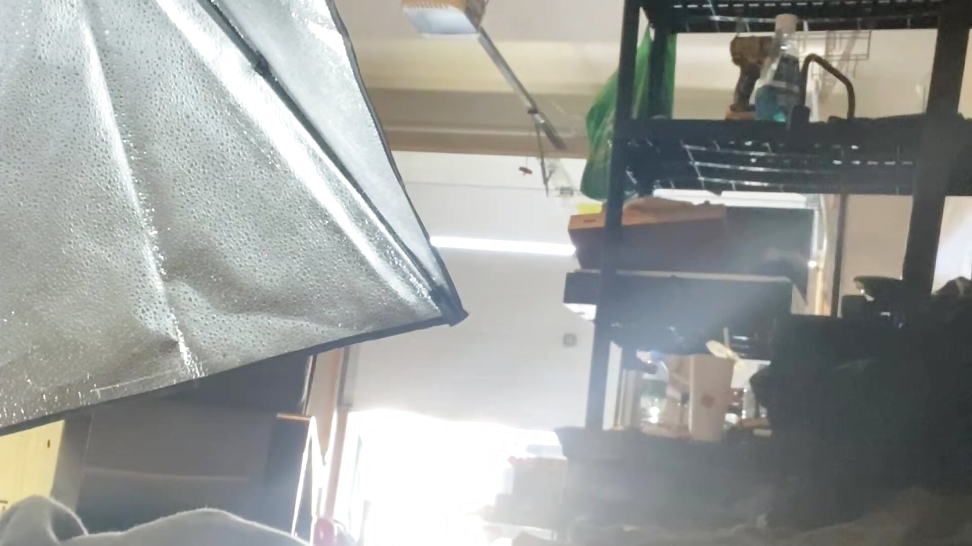 Flashing him - video by Fuckboy4public cam model