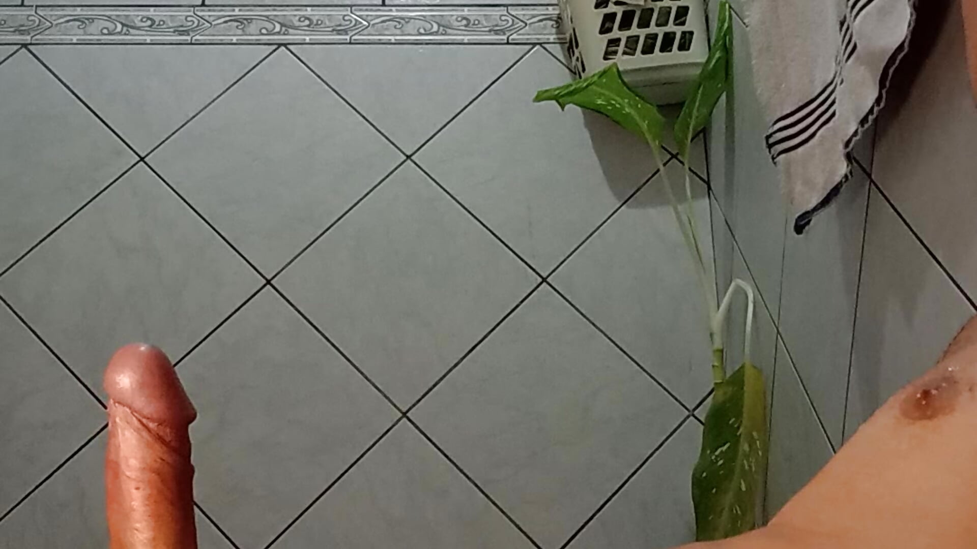 50836 - فيديو من luisfelipe180 موديل الكام