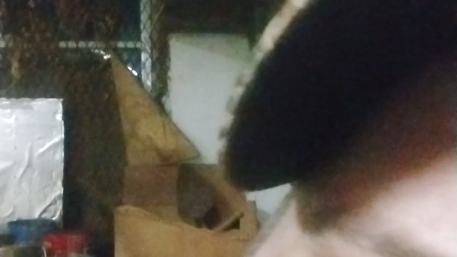 1000000059 - video av Creampieman@xh cam model