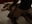 MI FACCIO INCULARE DAL CAMERIERE DELL ALBERGO - video by harleyejoker1 cam model