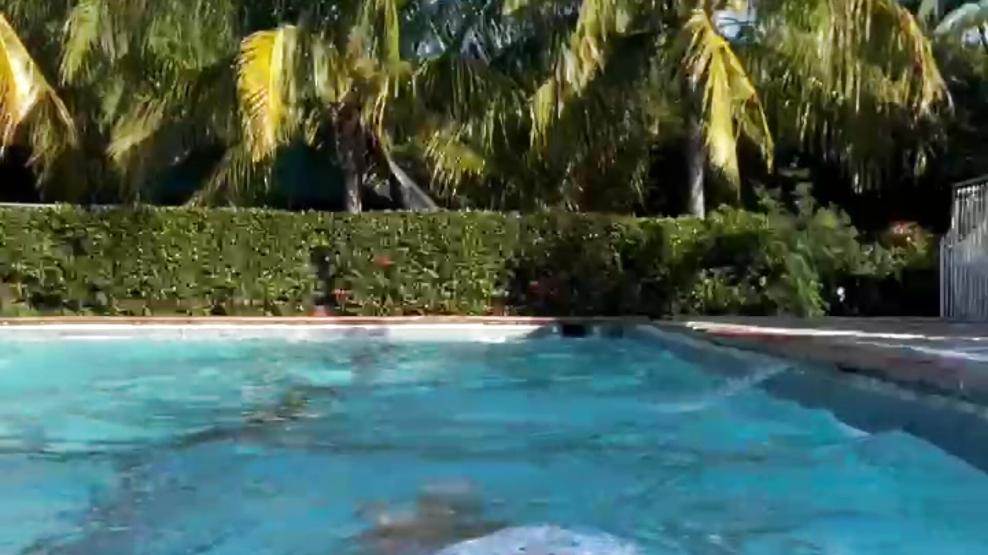 pool day - video by JoshMillerr_ cam model