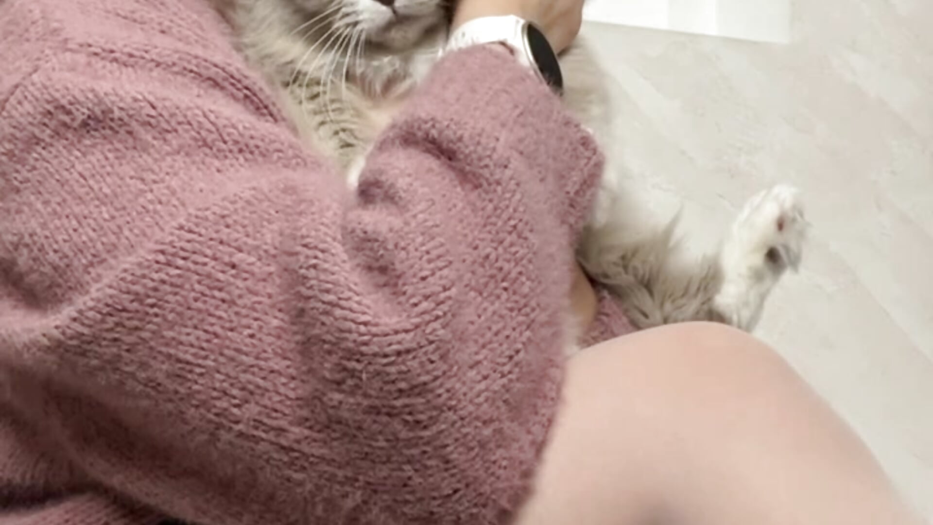 My pussy ;) - video by EllieHayes cam model