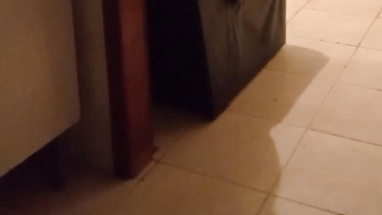 em casa - video by sexxymoon25 cam model