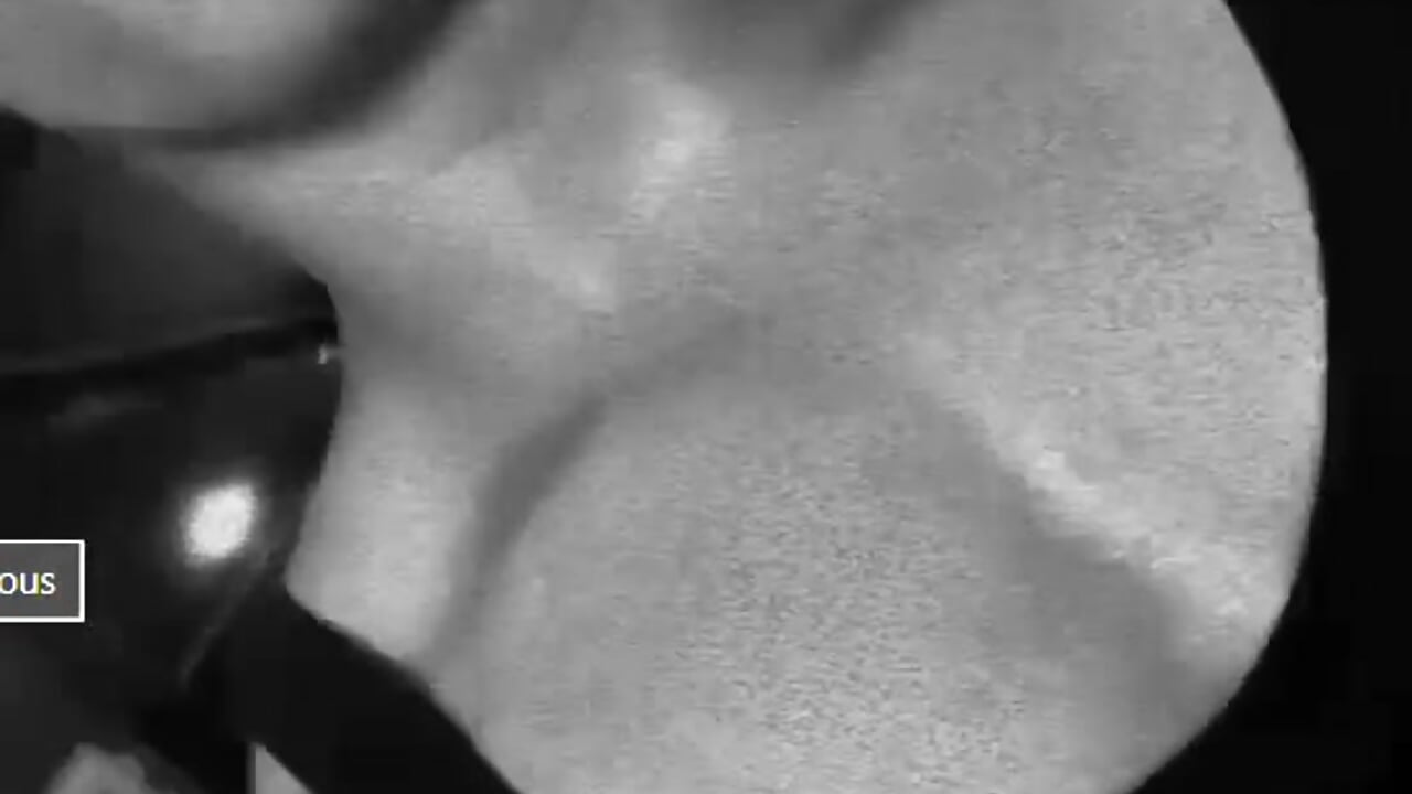 Horny Body Show – No Face, Just Pleasure 💦🔥" - Vídeo de nick__69, modelo de vídeos