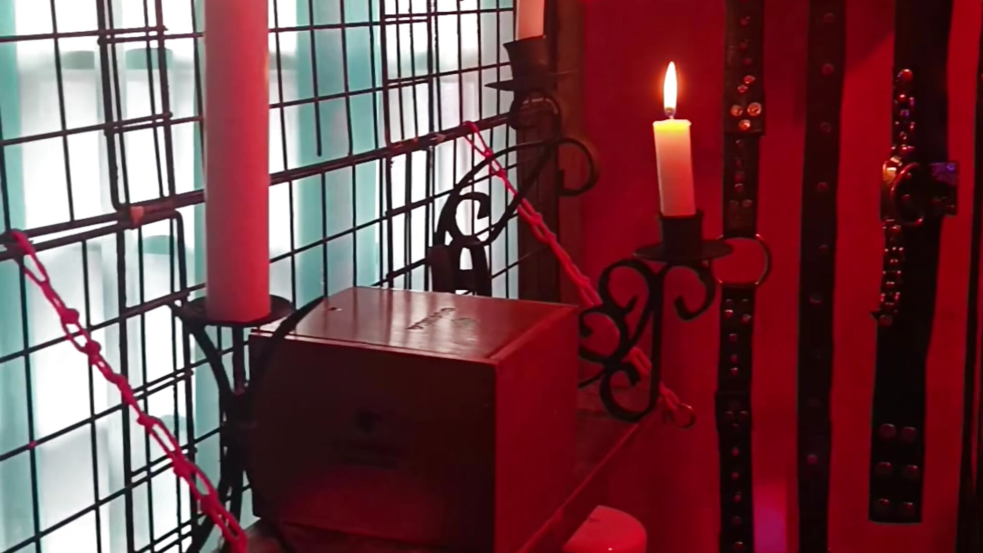 🐷The Pigs SWITCH 🐷 - βίντεο μοντέλου Charly_BC_Dirty