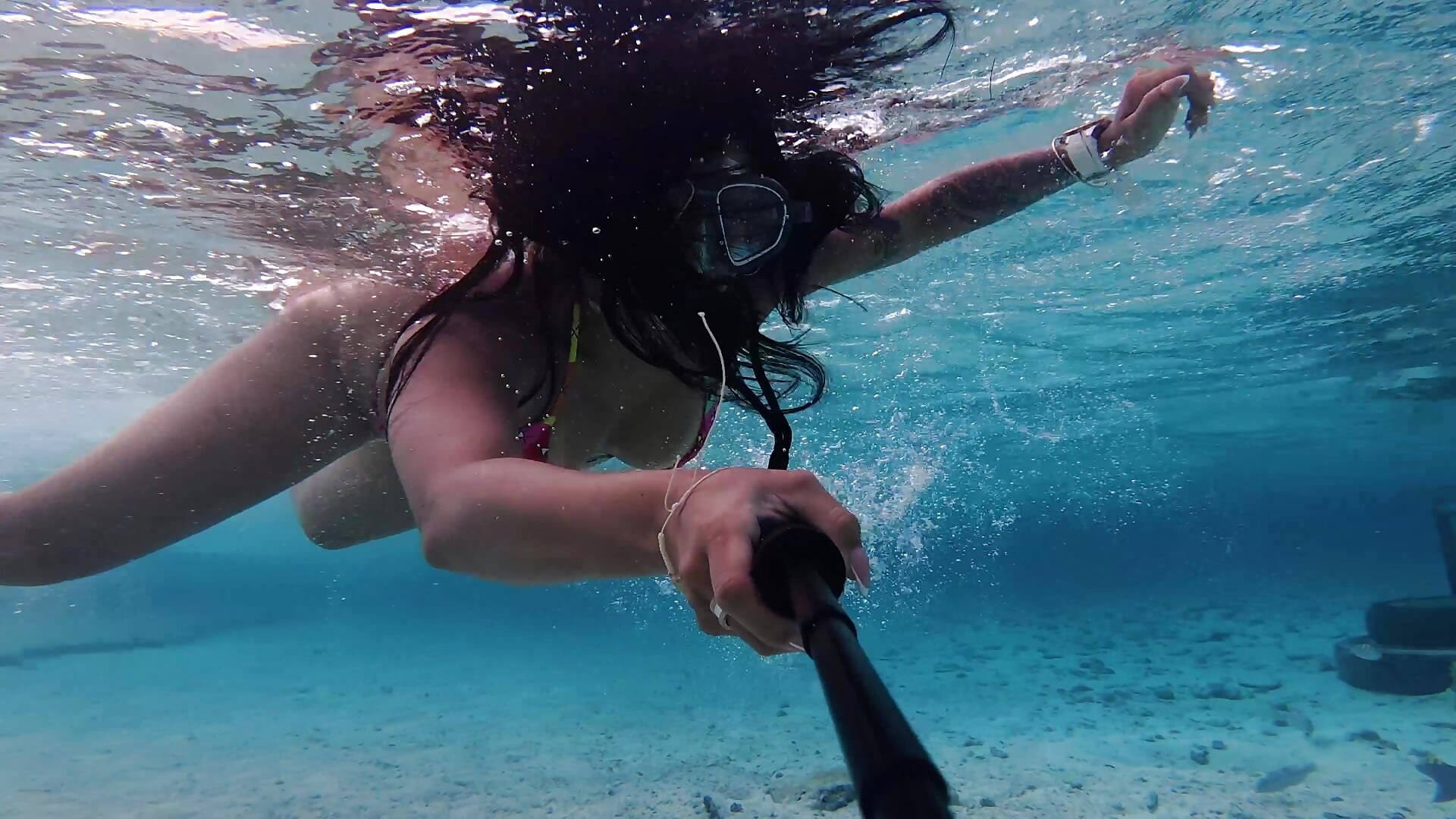 🌊 under the sea - SofiDavid主播的视频