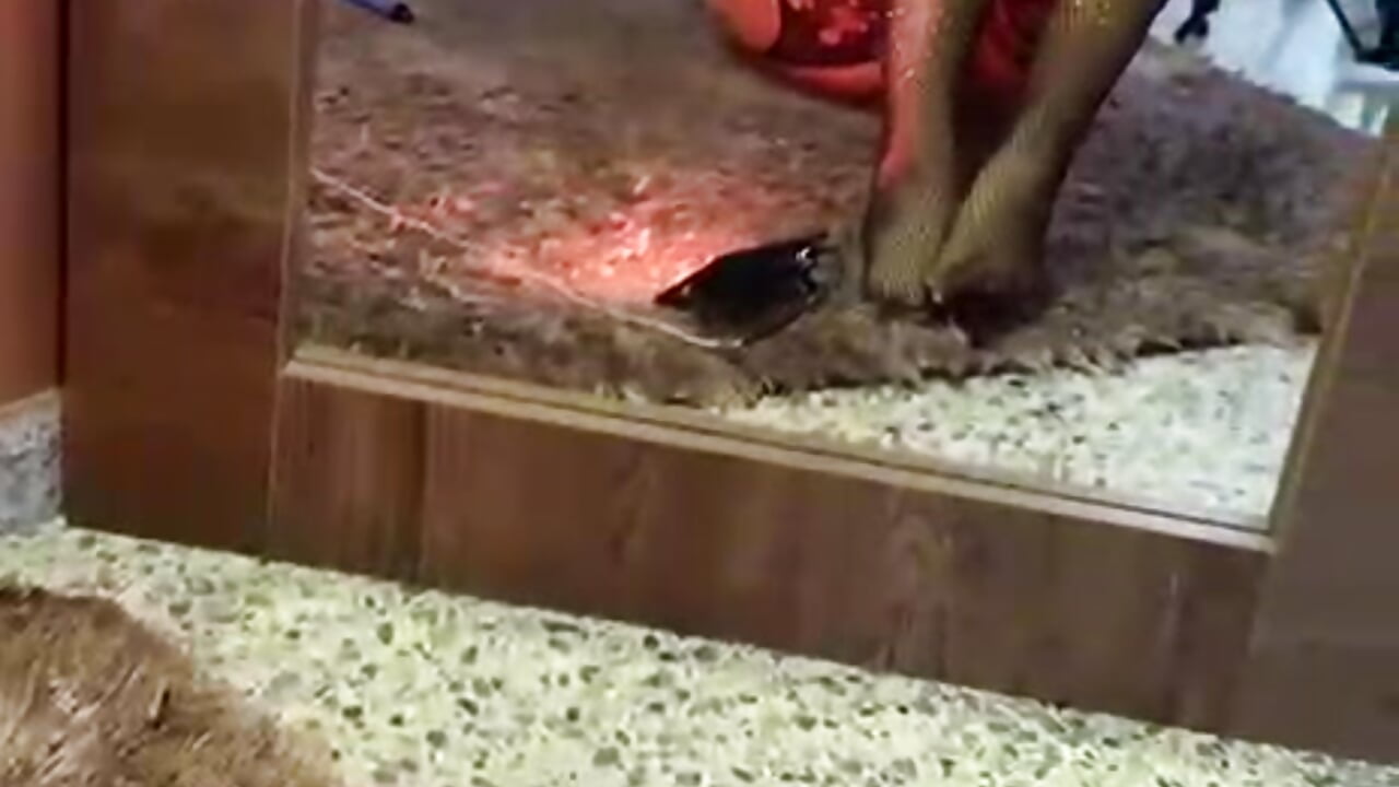 My stockings are beautiful - video by Ariana_Pierce cam model