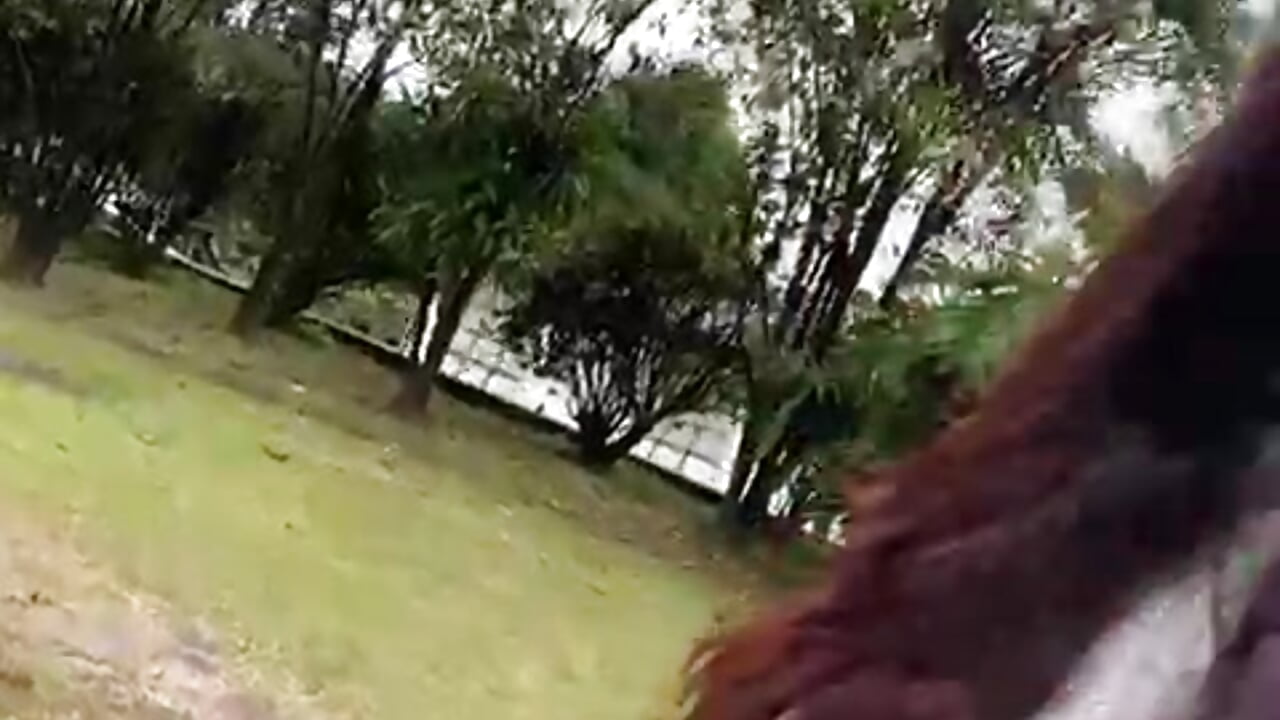 Enjoying Nature - video by Ariana_Pierce cam model