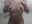 A HOT SHOWER 🔥🔥 - clip XXX cu giorgia_13