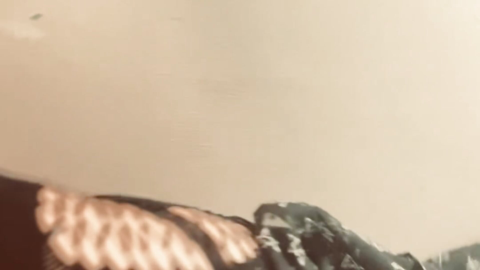 IMG_4527– AaikoMcM kameramodell videója