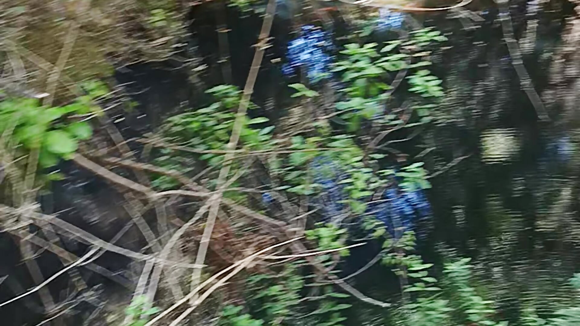 idkk hahahh - video by xxx-999 cam model