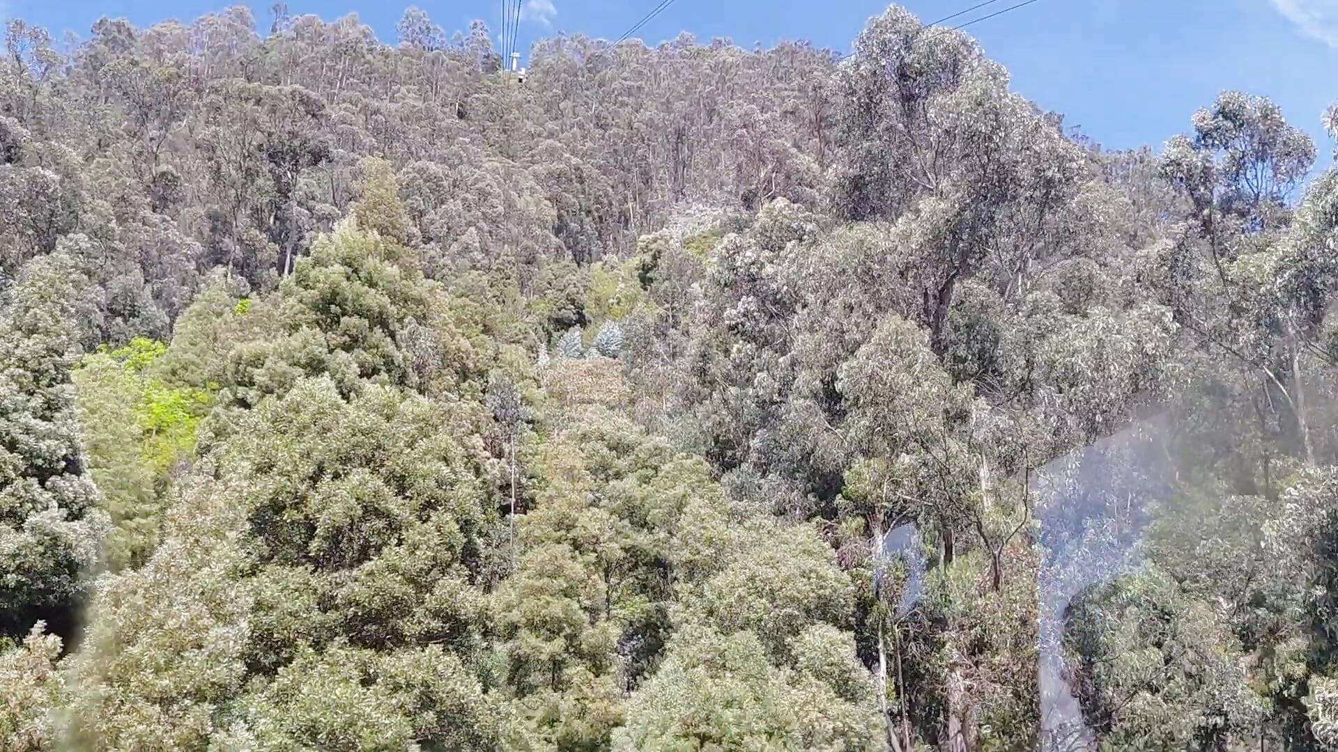 Bogota's nature is beautiful ♡ - video by Noisy_doll cam model