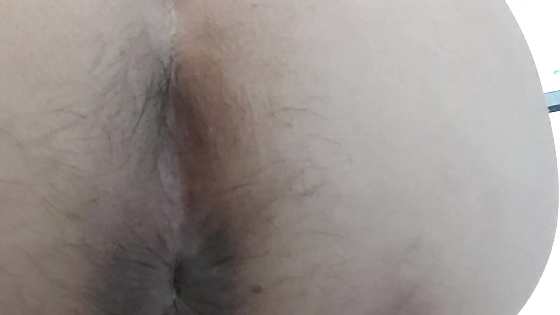 20231026自己玩菊花 - video by 866532 cam model