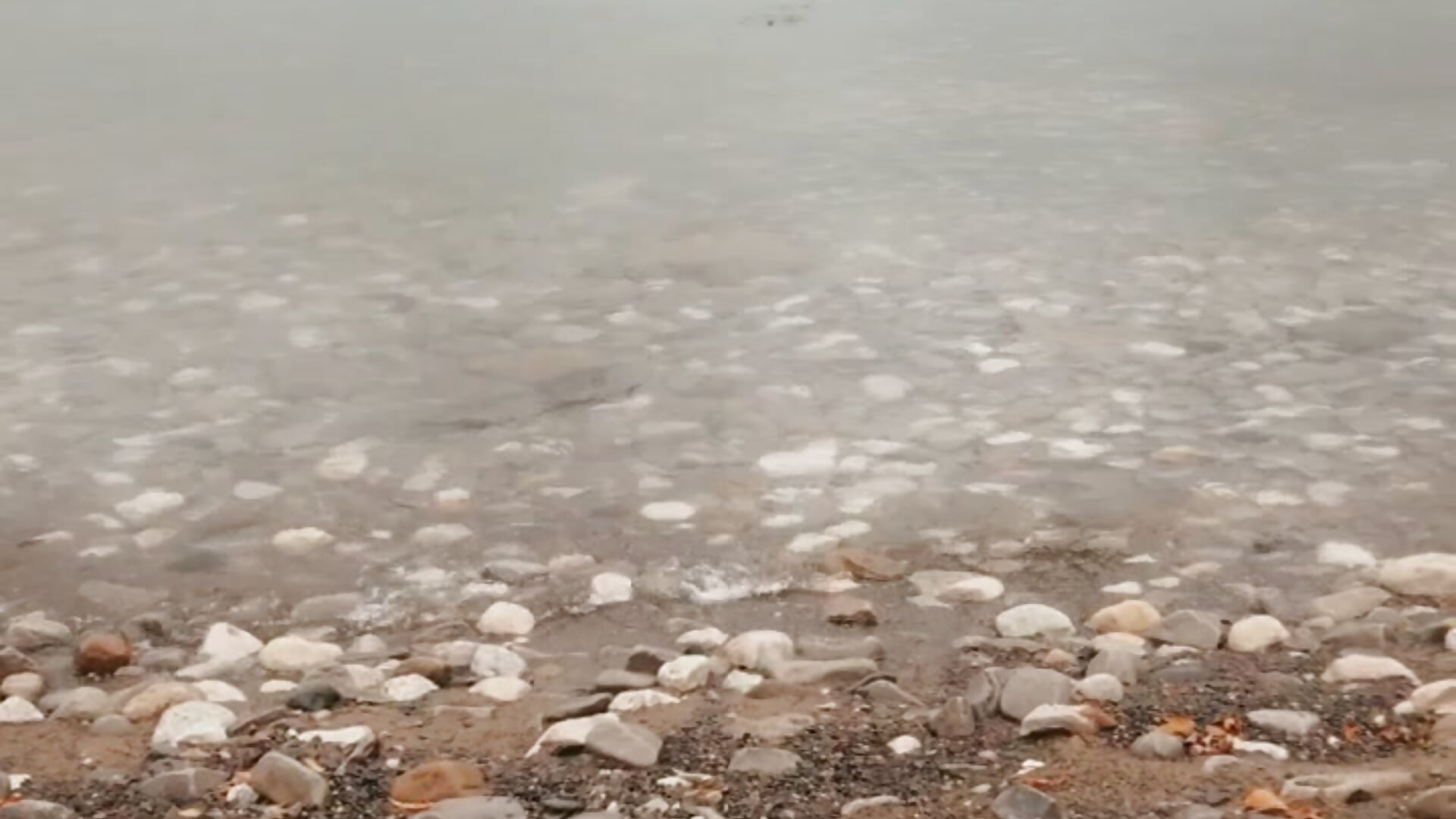 skipping rocks