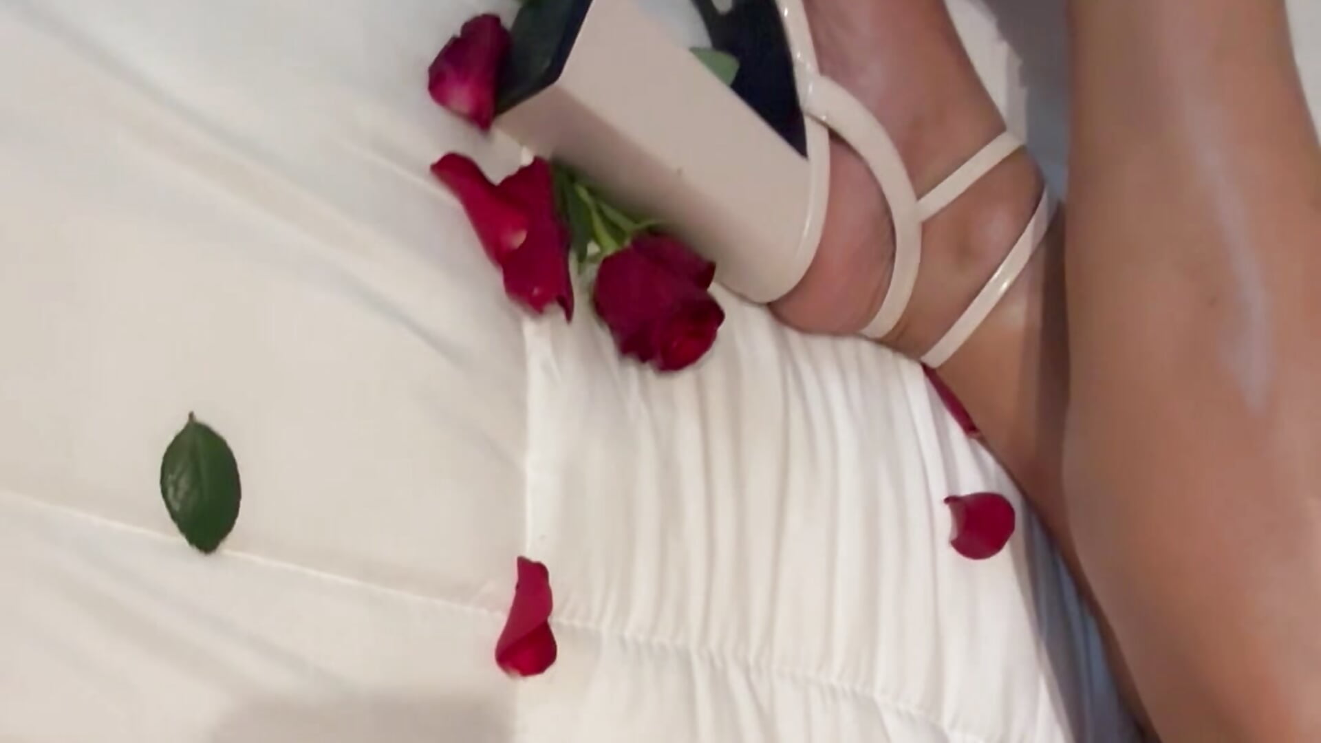 IMG_1683.mov– Pandora_west kameramodell videója