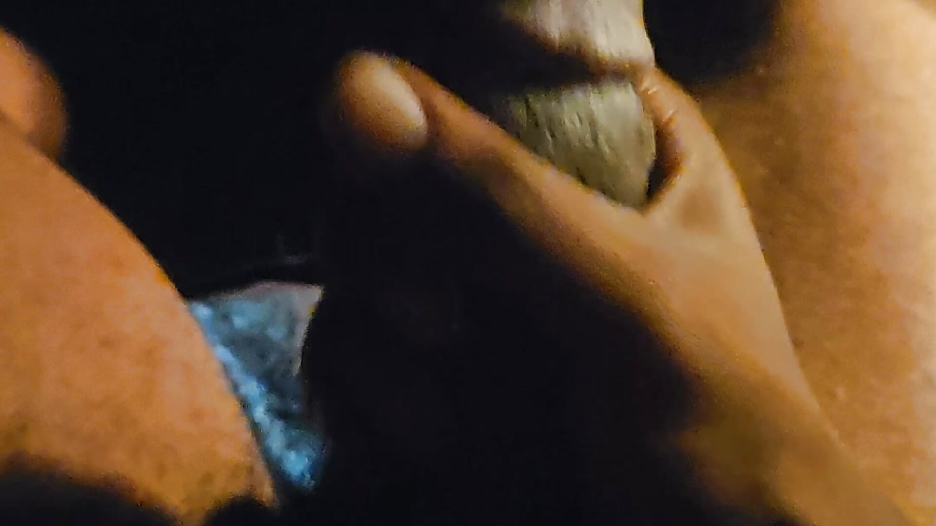 1000018746 - video beastboymoon kameramallilta