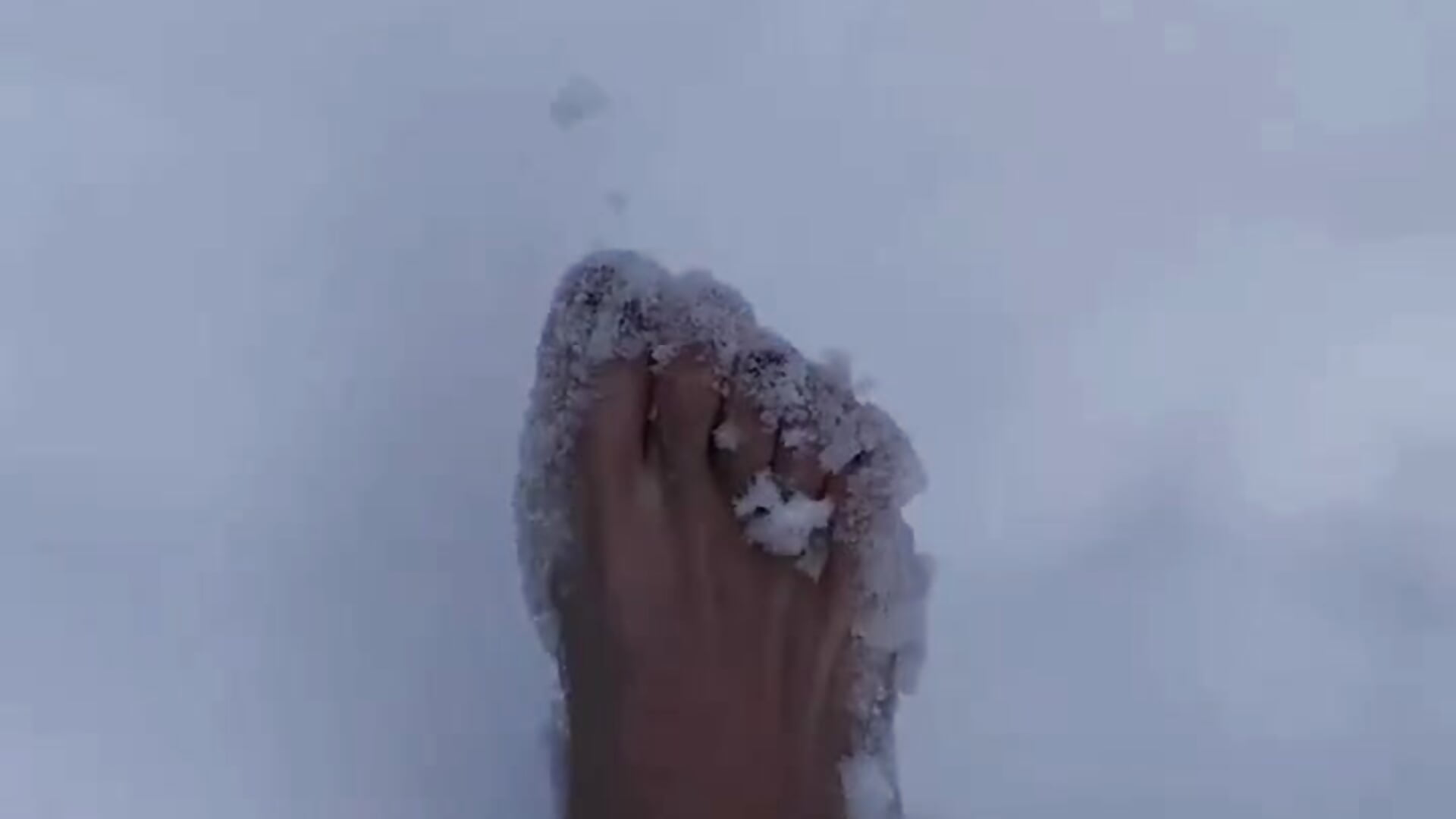 下雪了