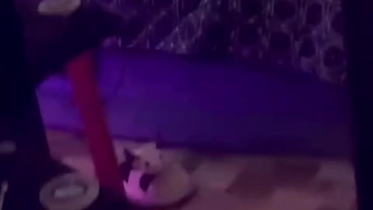 VID-20251130-WA0032 - video by miia-liiam cam model