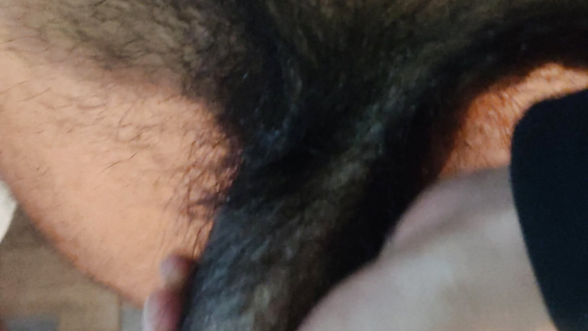 Look amazing Brown dick 🥵 BBC🥵
