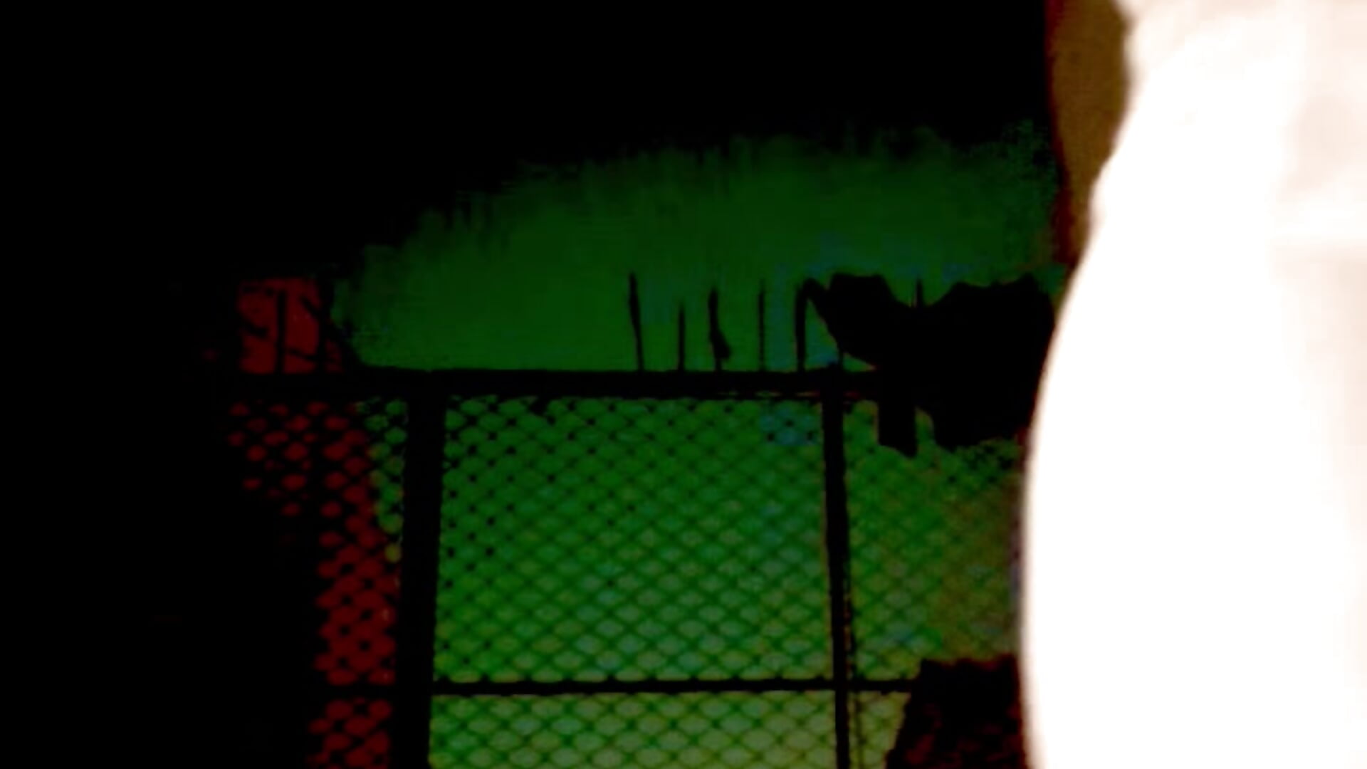 RoofTop－カメラキャストのGildanK18の動画