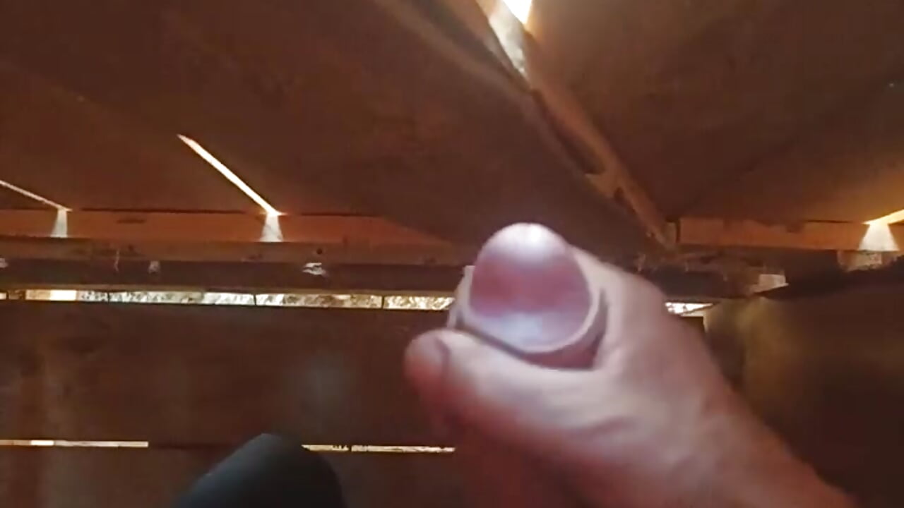 [25 Jun 12:08] I'm jerking off in the toilet and I'm talking dirty Russian - video av GoodToonDick cam model