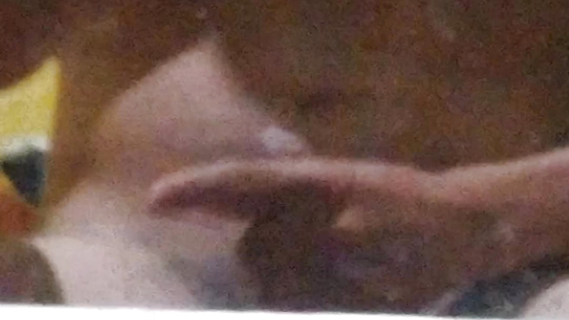 VID_20250403_212023 - video van Gostosor7x cam-model