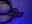 Feet - video by CurlyNed cam model