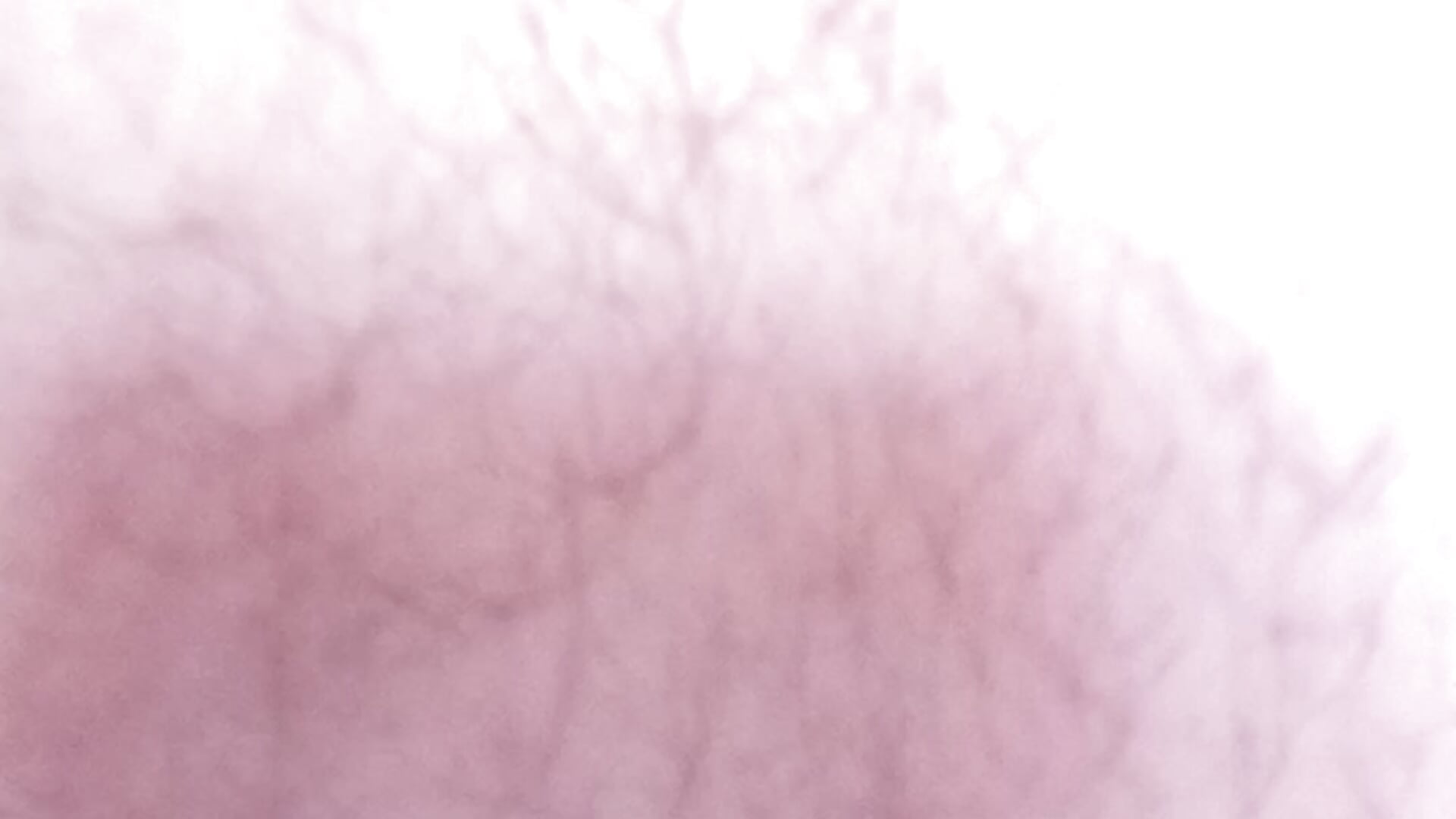 20220521_161348 - video oleh model kamera Serjserj34