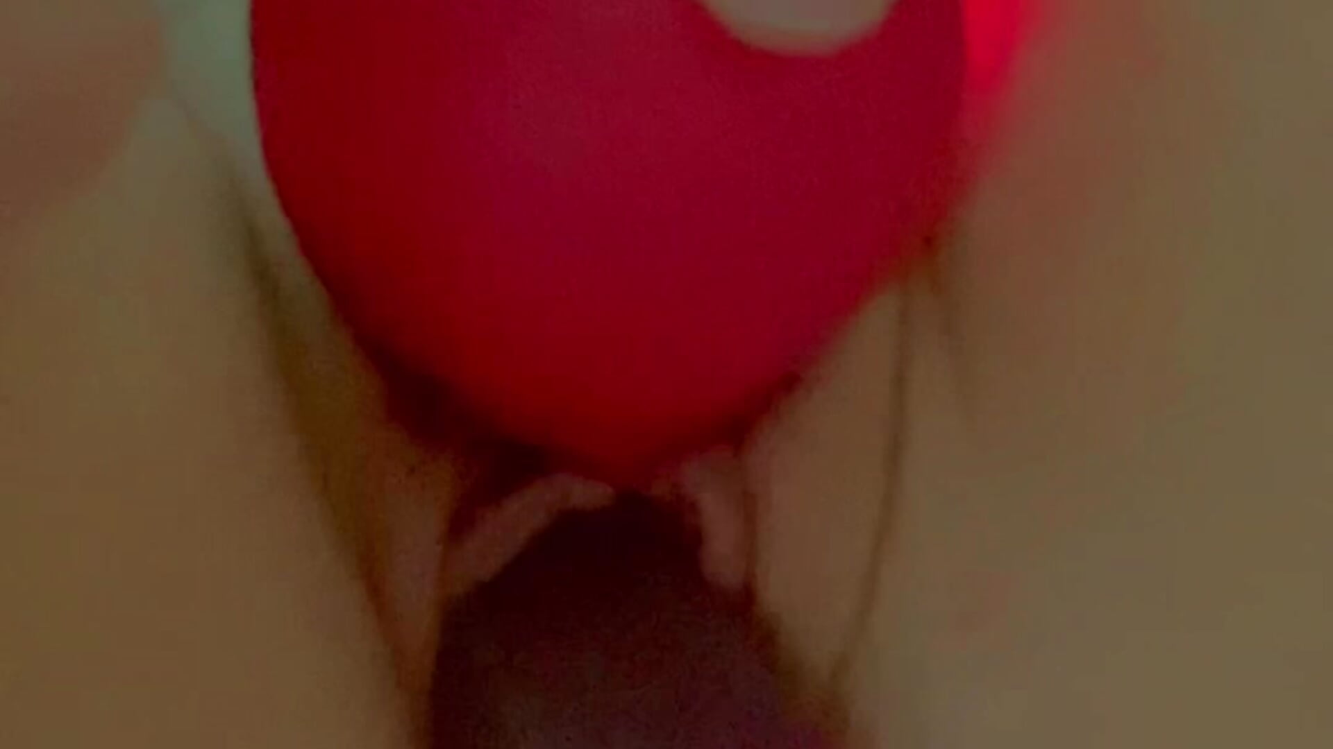 Kitty close up 🎥 🐱