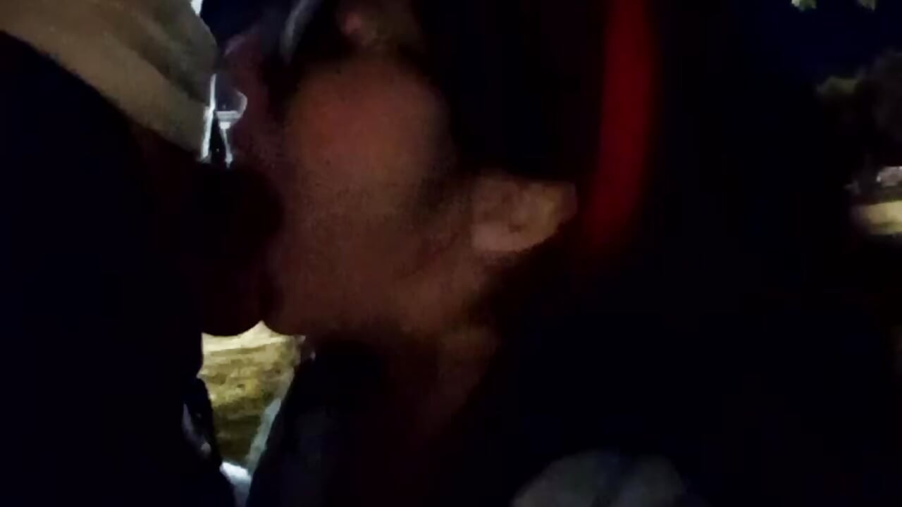 Chupar verga en parque