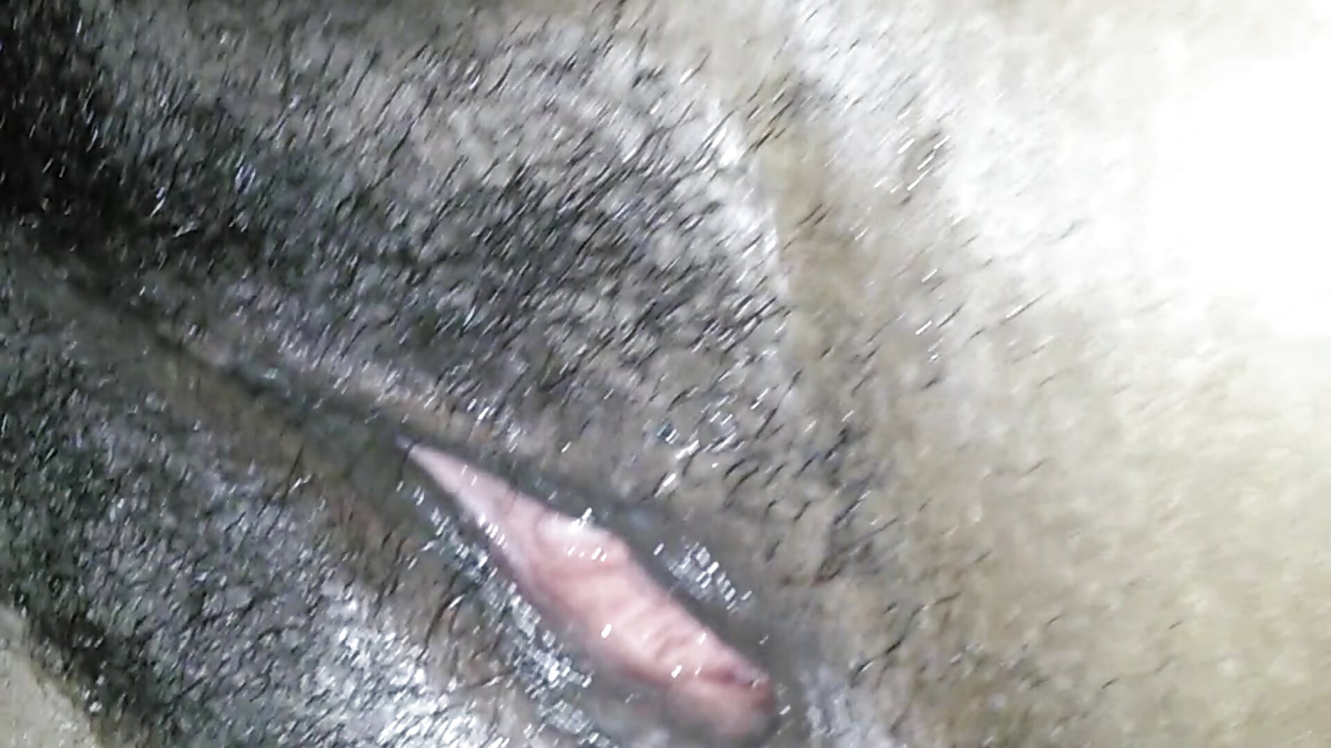 fce82c0b-971e-45c5-85f7-dac806744595-1_all_5255 - video by pinkebony96 cam model