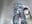 471635754_9342988362420660_9100317205565207194_n (2) - vídeo de helenros
