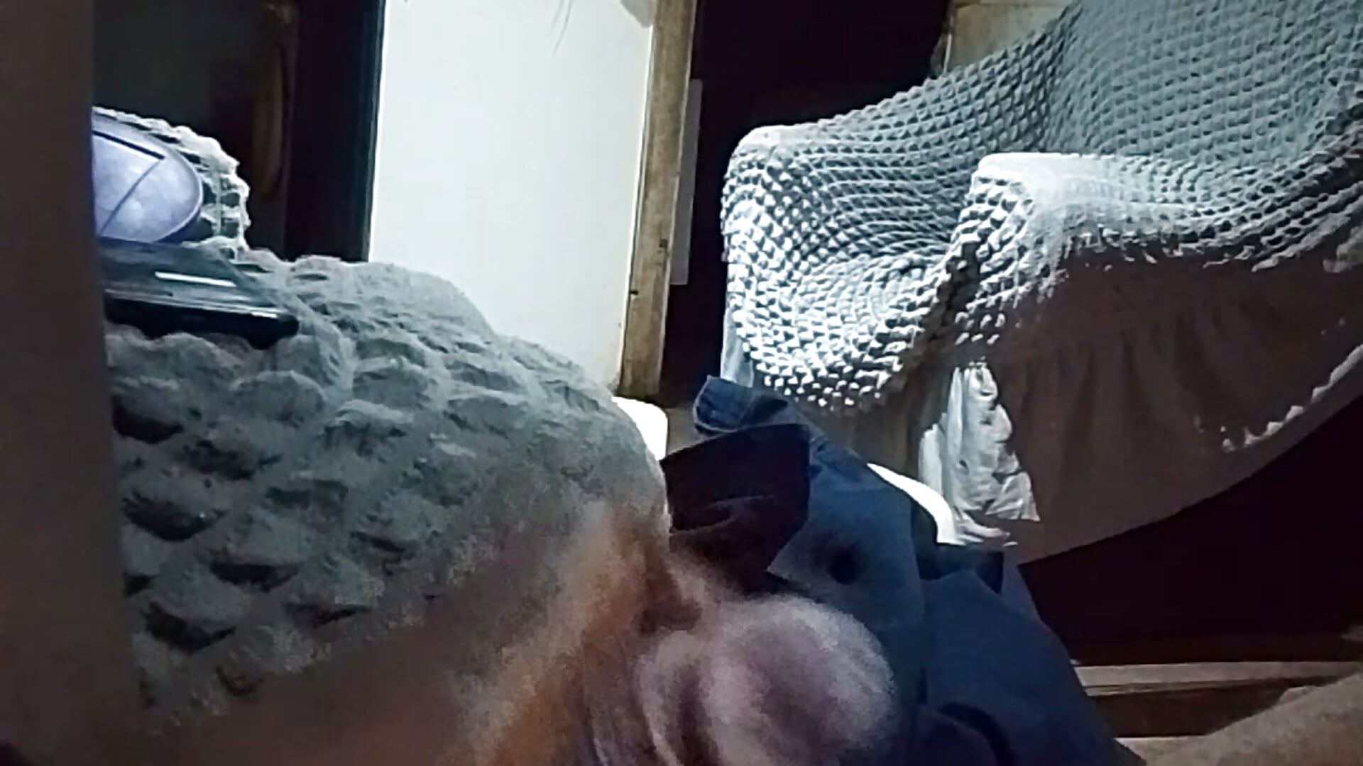 VID_20241230_234852 - video by Patrick037 cam model