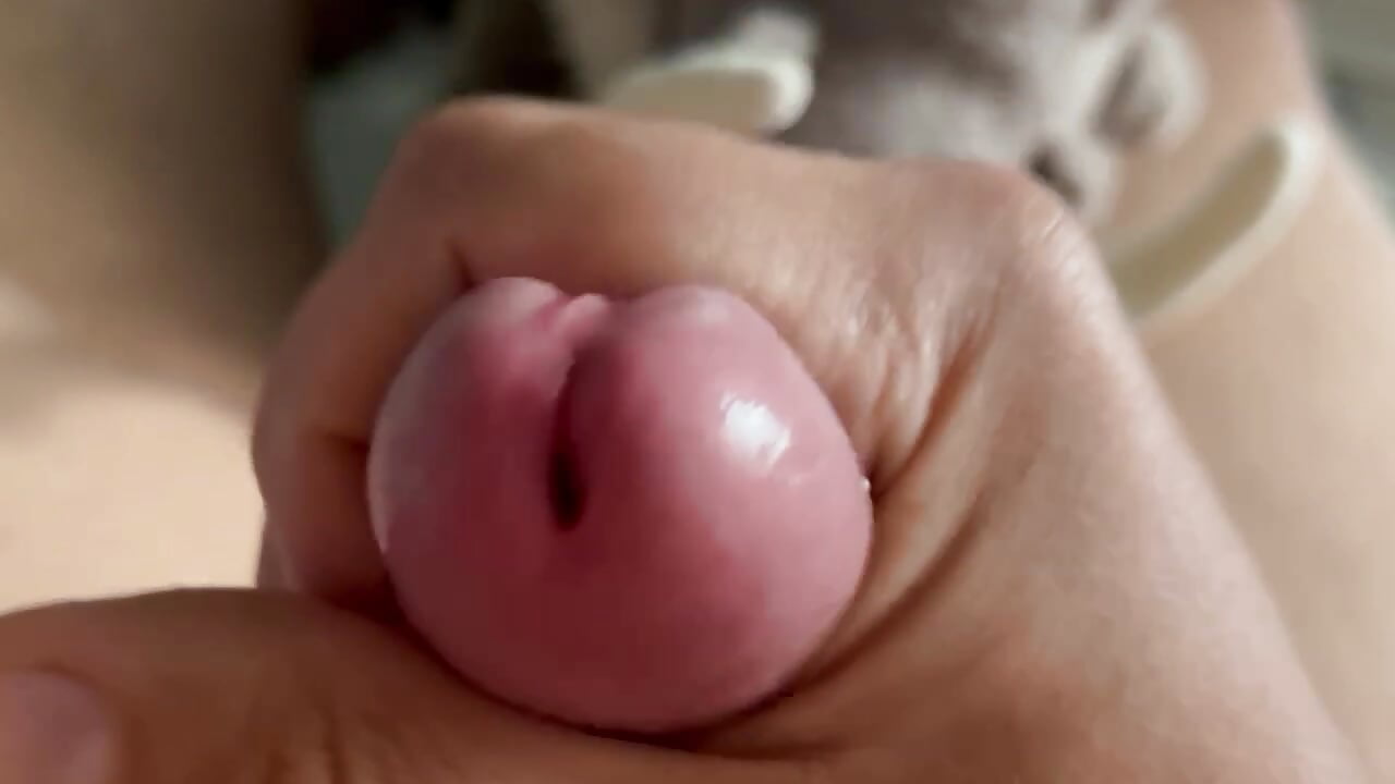 Jizz - Archie8338 캠 모델의 동영상