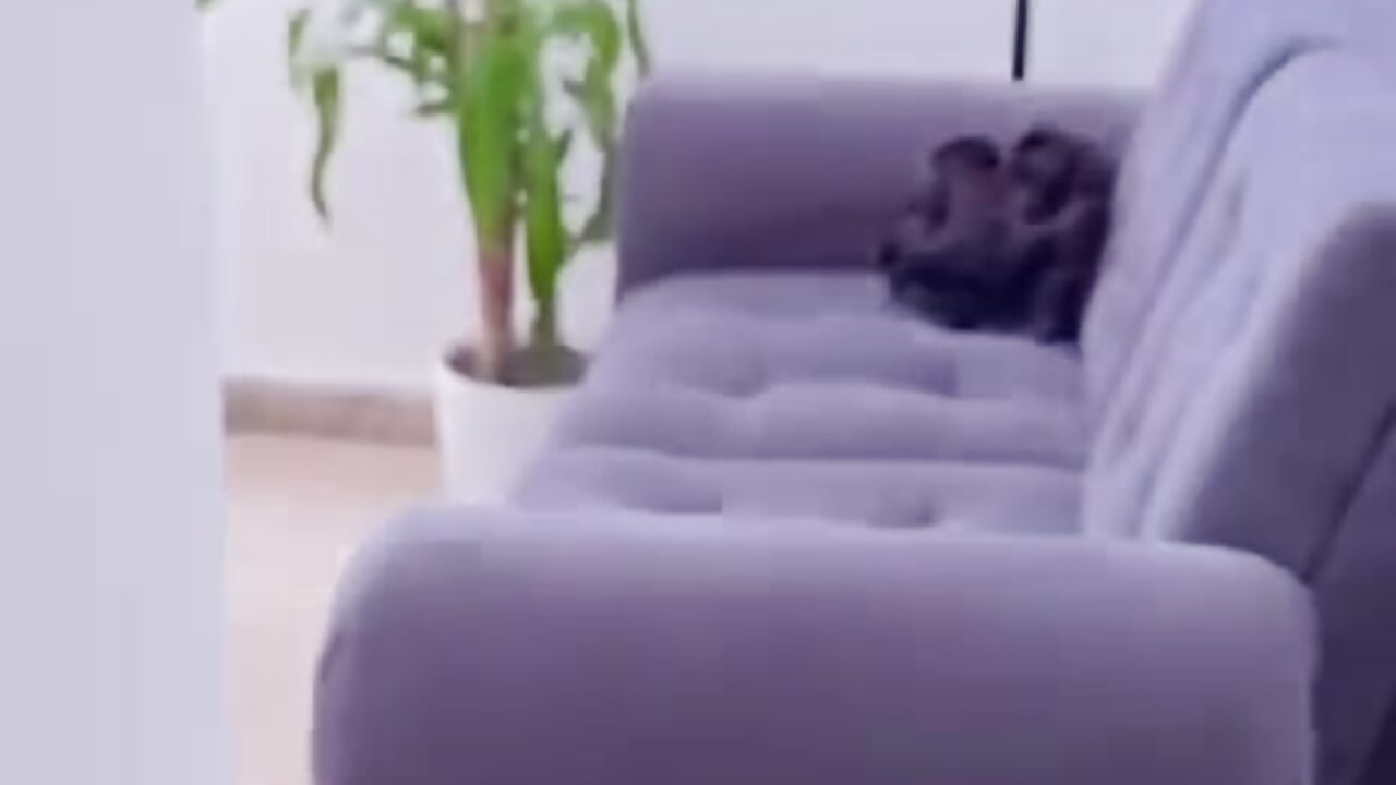 My coworker discovers me 🥵 - video by kata_james cam model