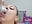 🍆 saliva and throat game 🍆 - video by sofi_saliva2511 cam model