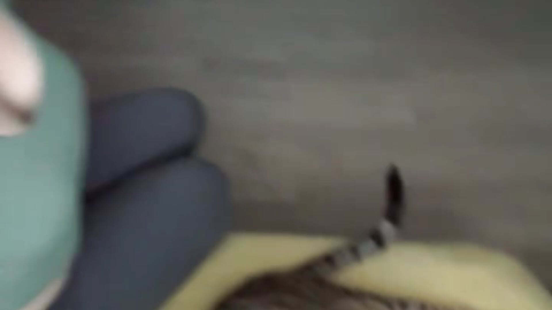 I love kitties - video by ParkerGYATT cam model