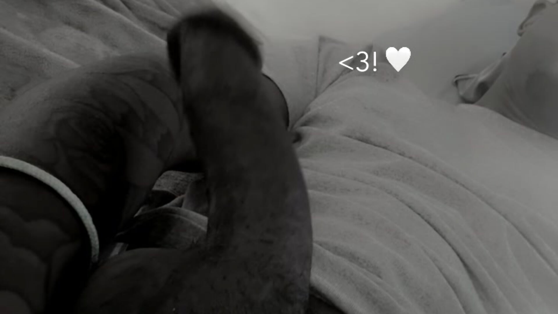 NNN almost over 😮‍💨 - clip cu suthrnprnce model videochat