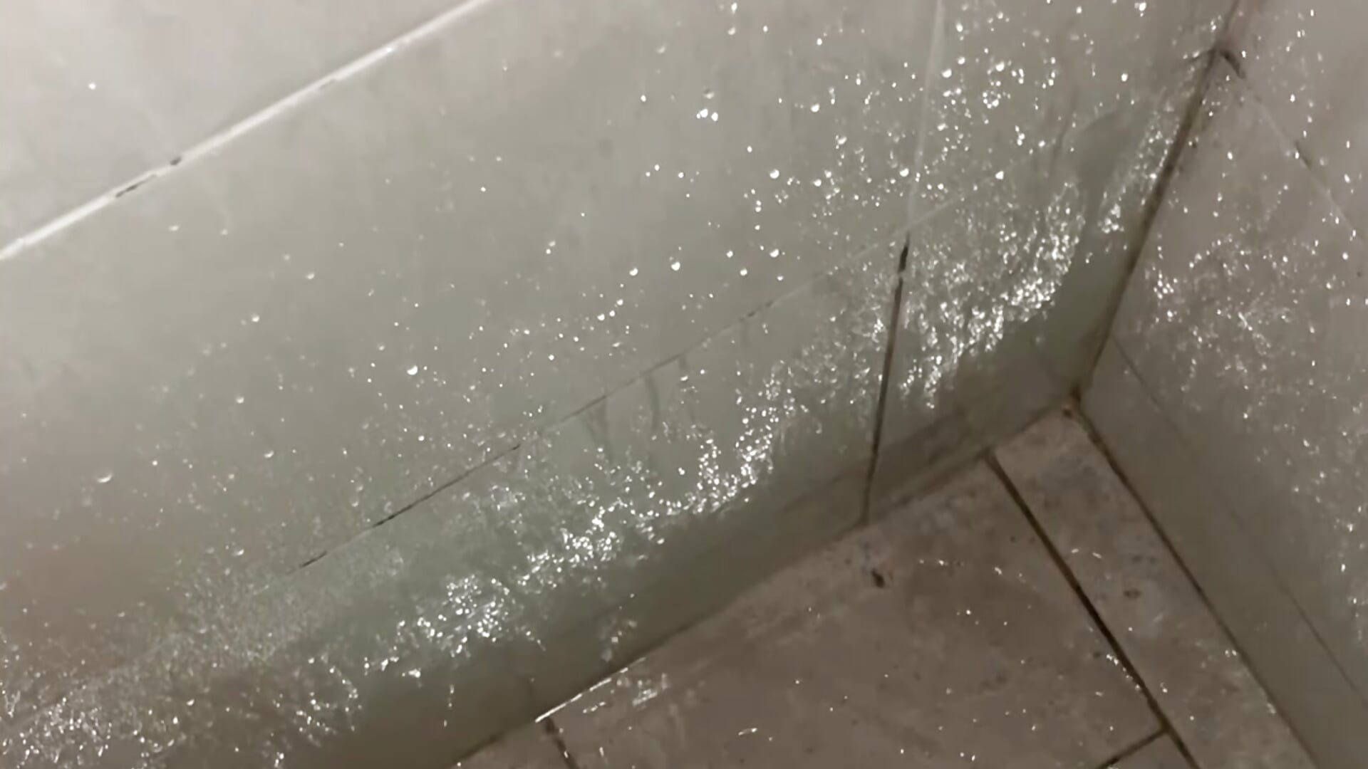 ando en Medellín Jakaka qn para ponérselo 😶‍🌫️😶‍🌫️😶‍🌫️😶‍🌫️😶‍🌫️ - video by elflalope cam model