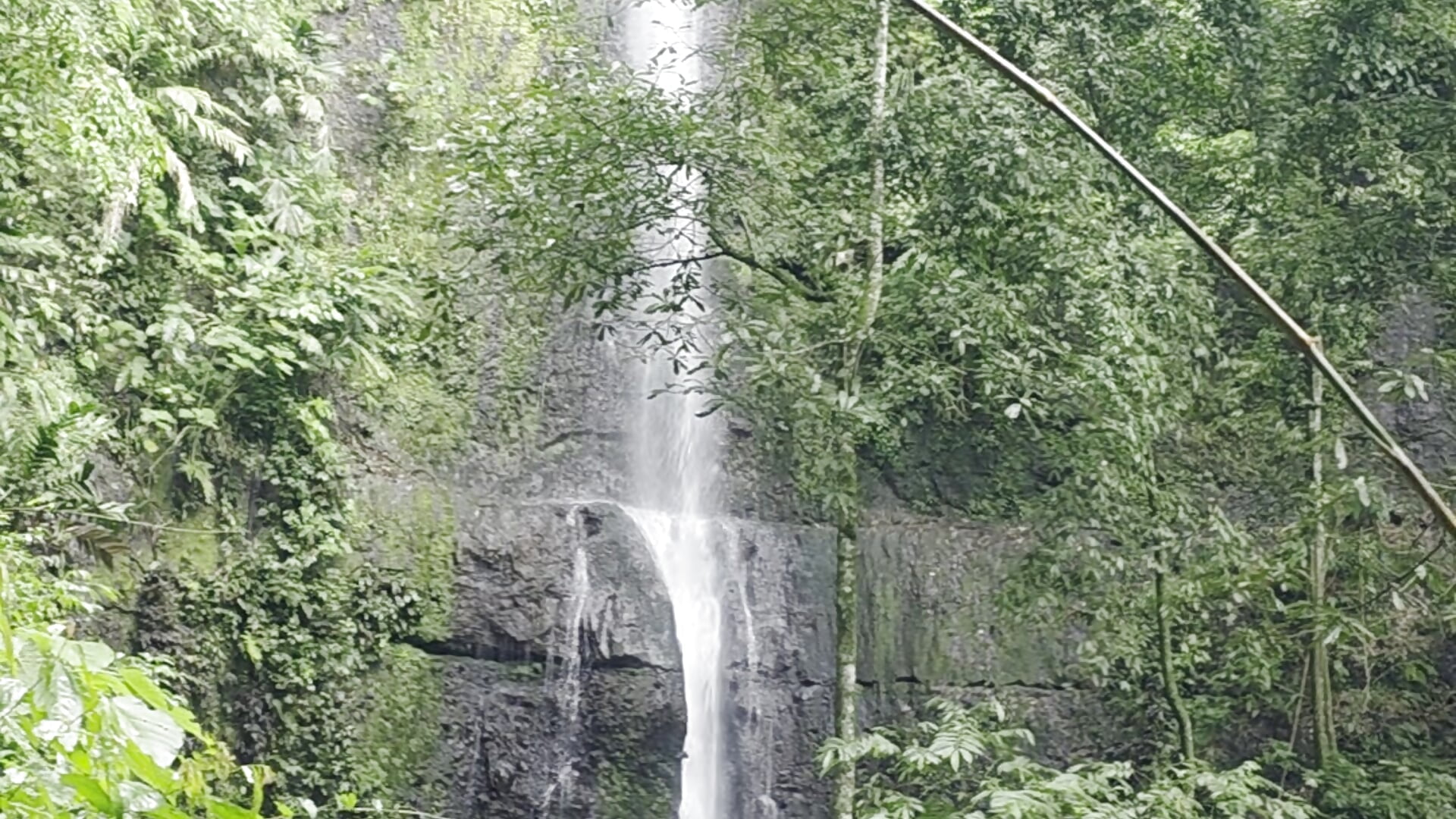 nature🥰🥰－カメラキャストのamabel_zambranoの動画