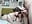 Que rica culeada - video by Blondandtattoofaced cam model