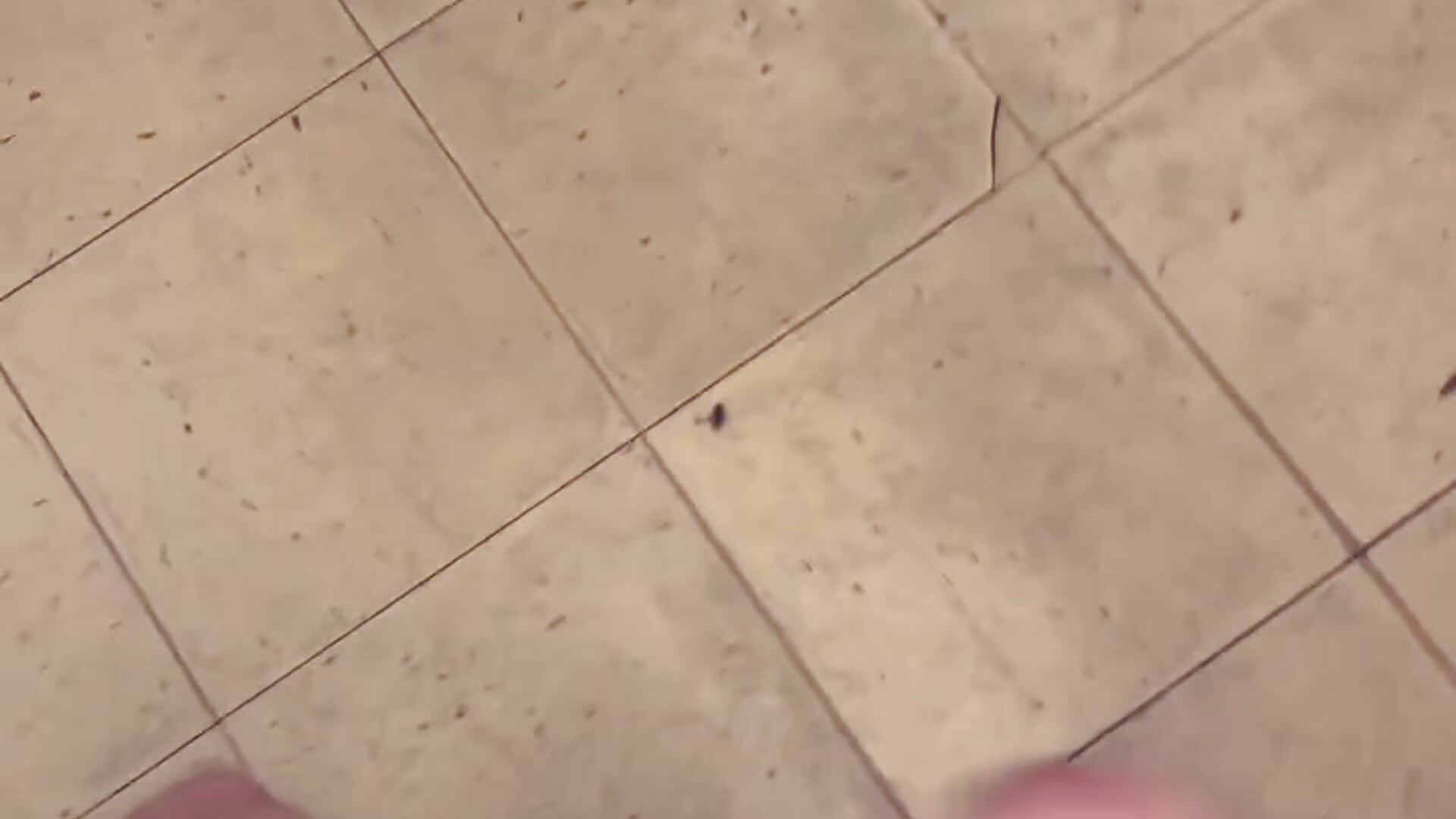 EAD2C69D-1AE7-466C-AF41-895897E7CEEA - video by SparingTeller cam model