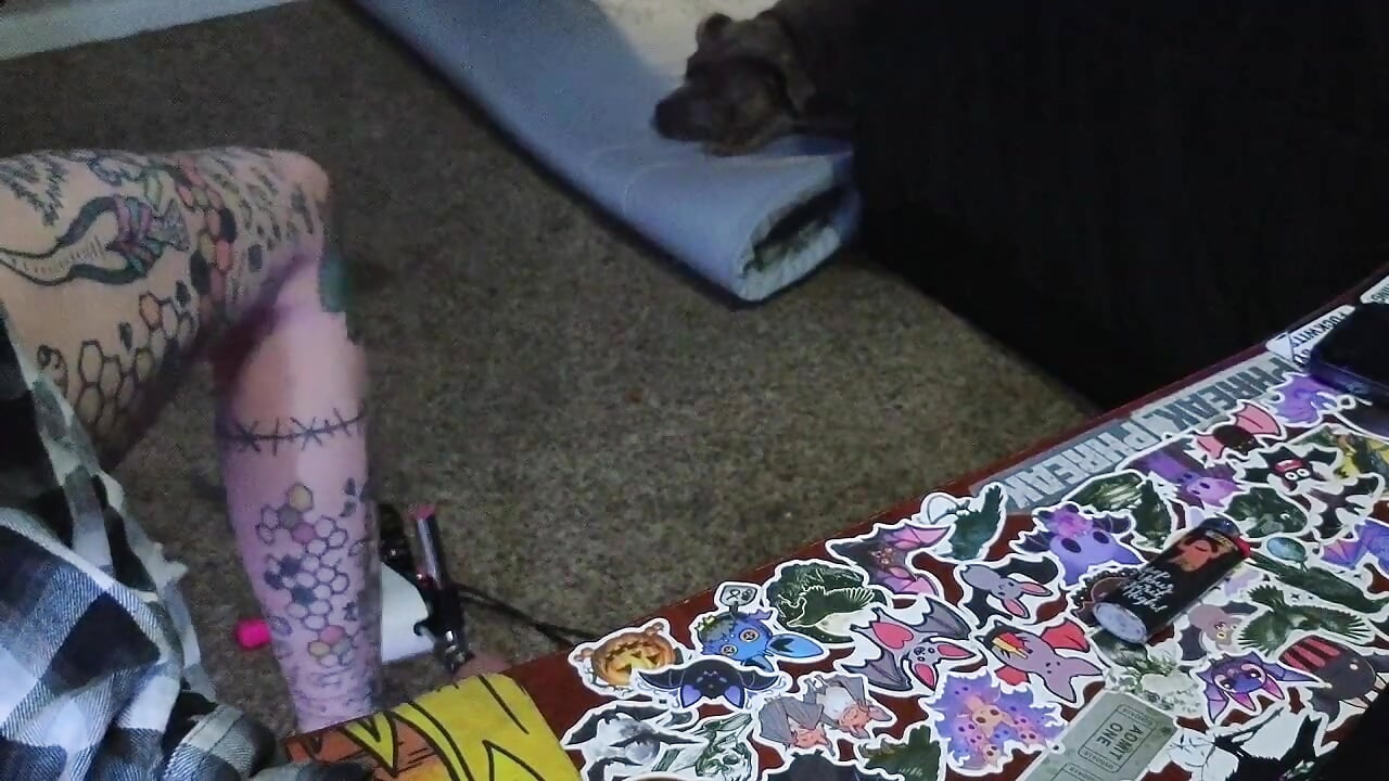 2025-08-30 05-19-42 – video od webkamerové modelky ToxiChaos