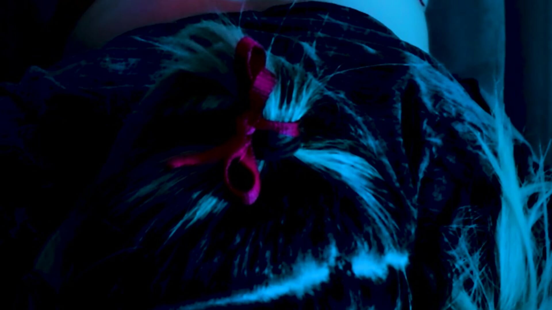 Jugamos ?? - EmilyZoy主播的视频