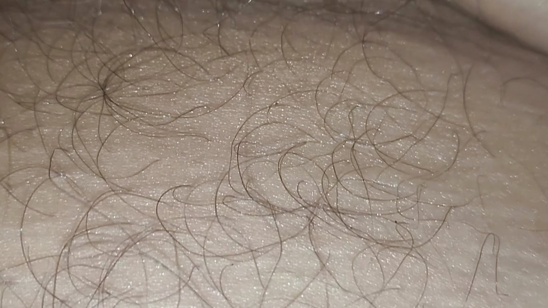 Solo pelos and chocha - video di Nice_n_hairy580 modella di cam