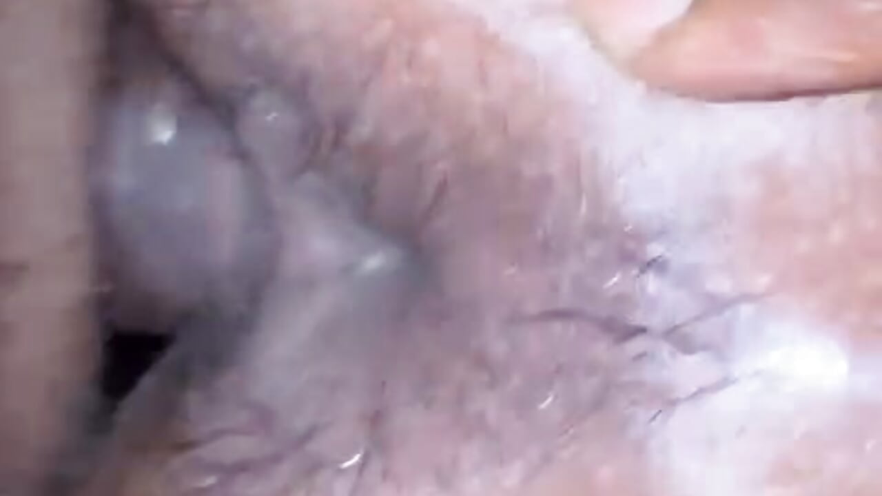 Doggy - close up
