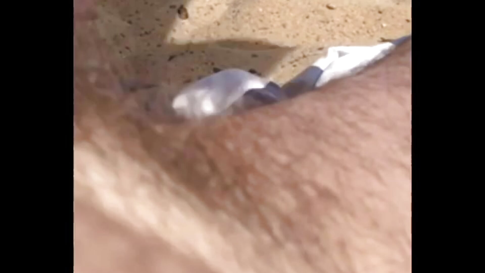Snippet of beach suck and cum with married welsh man!