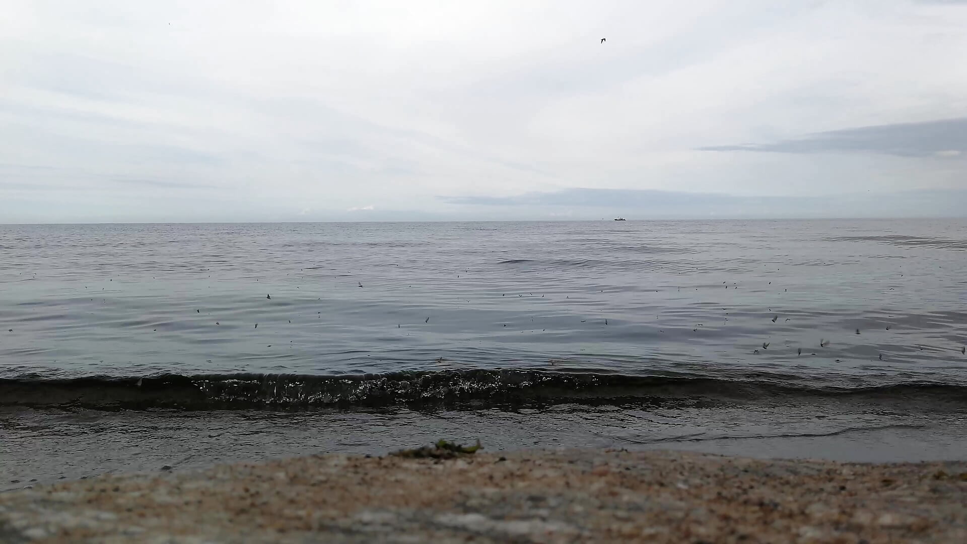 VID_20230727_190341 - فيديو من Lester_Broo موديل الكام