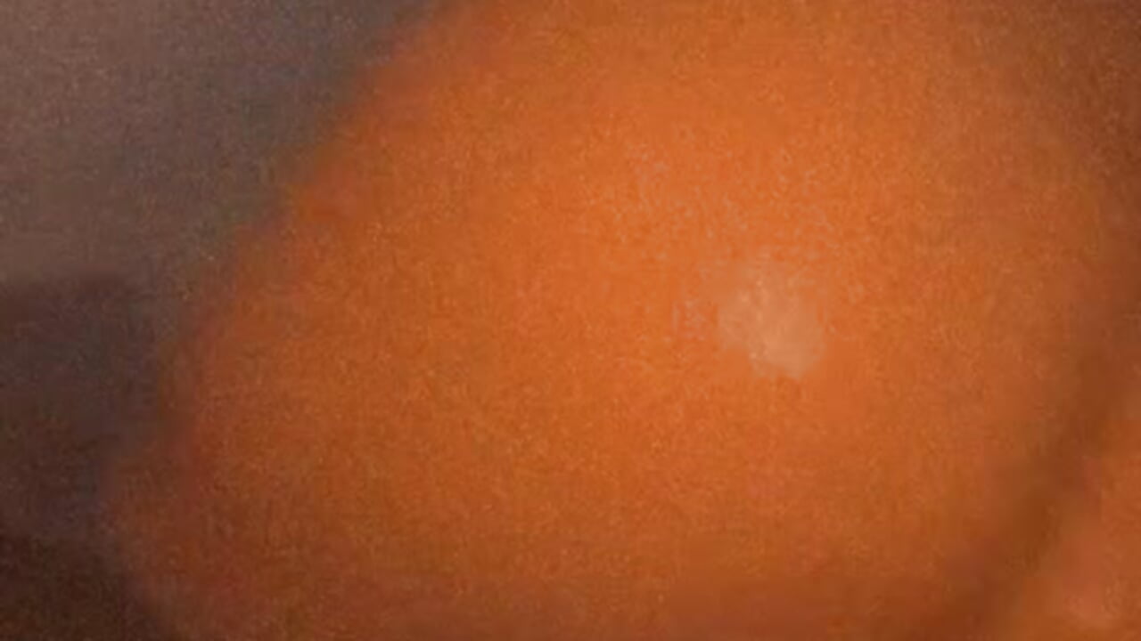 Bubble Butt ​🤭​❤️‍🔥​ - GirlScoutCookie主播的视频