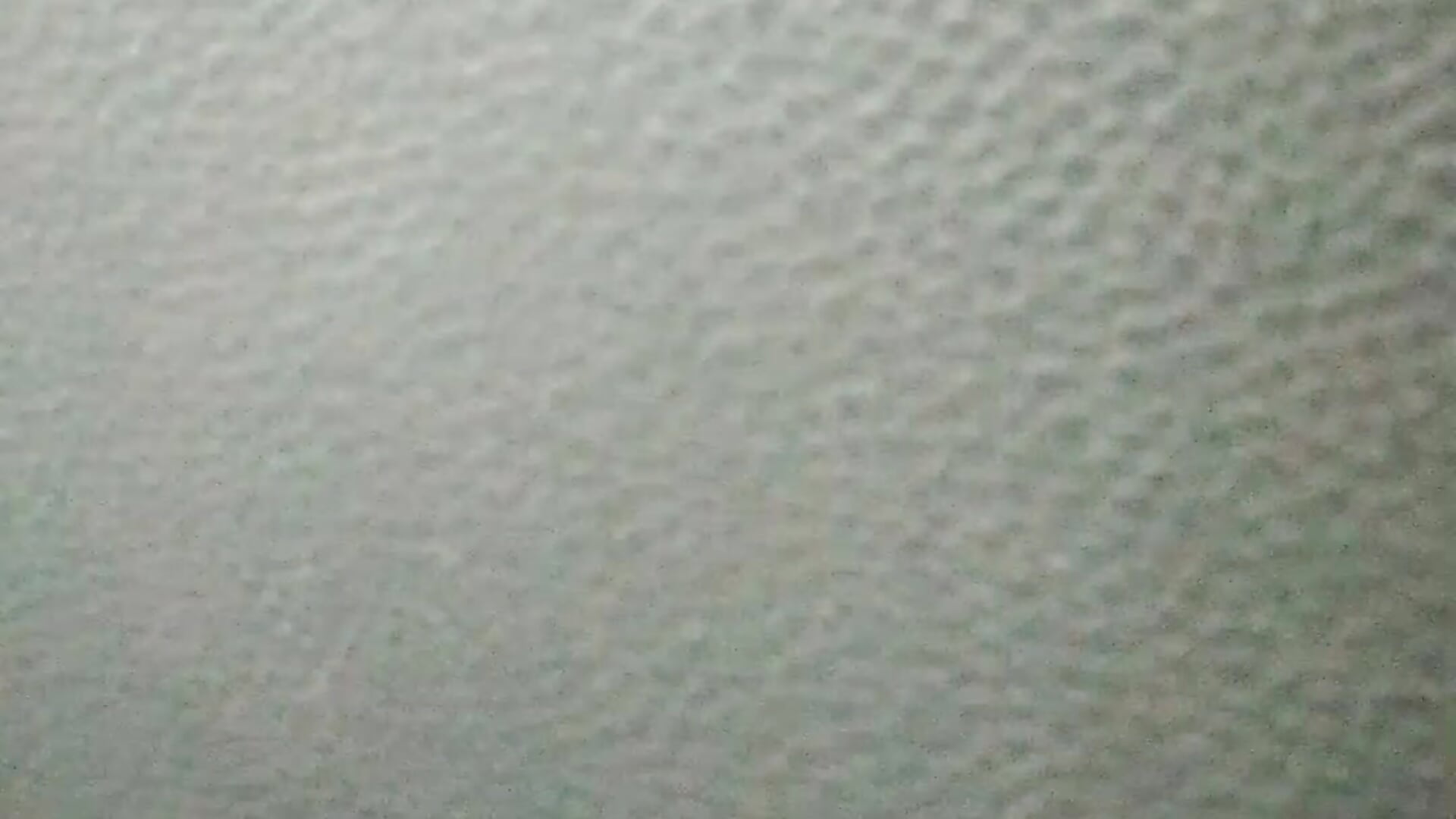 1000026588